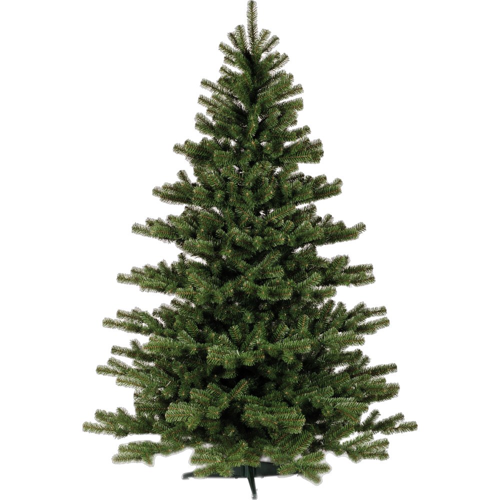 Edeltanne 2004 Tips/Spitzen, H 240cm, Ø 163cm